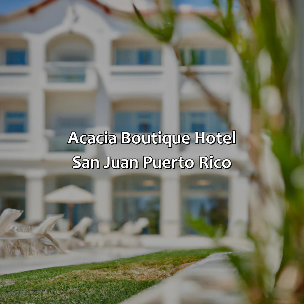 Acacia Boutique Hotel - San Juan, Puerto Rico-acacia+boutique+hotel+san+juan+puerto+rico, 