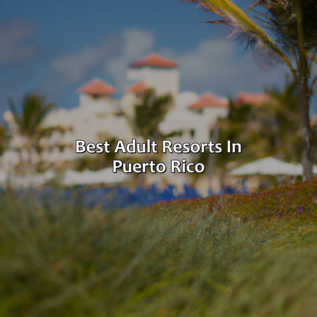 Best Adult Resorts in Puerto Rico-adult resorts in puerto rico, 