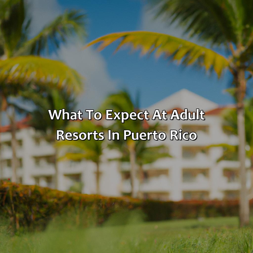 What to Expect at Adult Resorts in Puerto Rico-adult resorts puerto rico, 