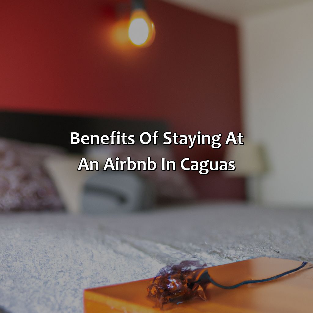 Benefits of staying at an Airbnb in Caguas-airbnb caguas puerto rico, 
