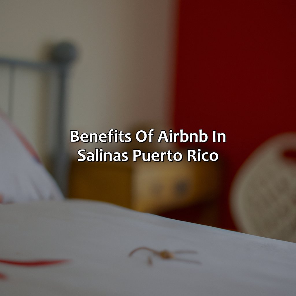 Benefits of Airbnb in Salinas, Puerto Rico-airbnb salinas puerto rico, 