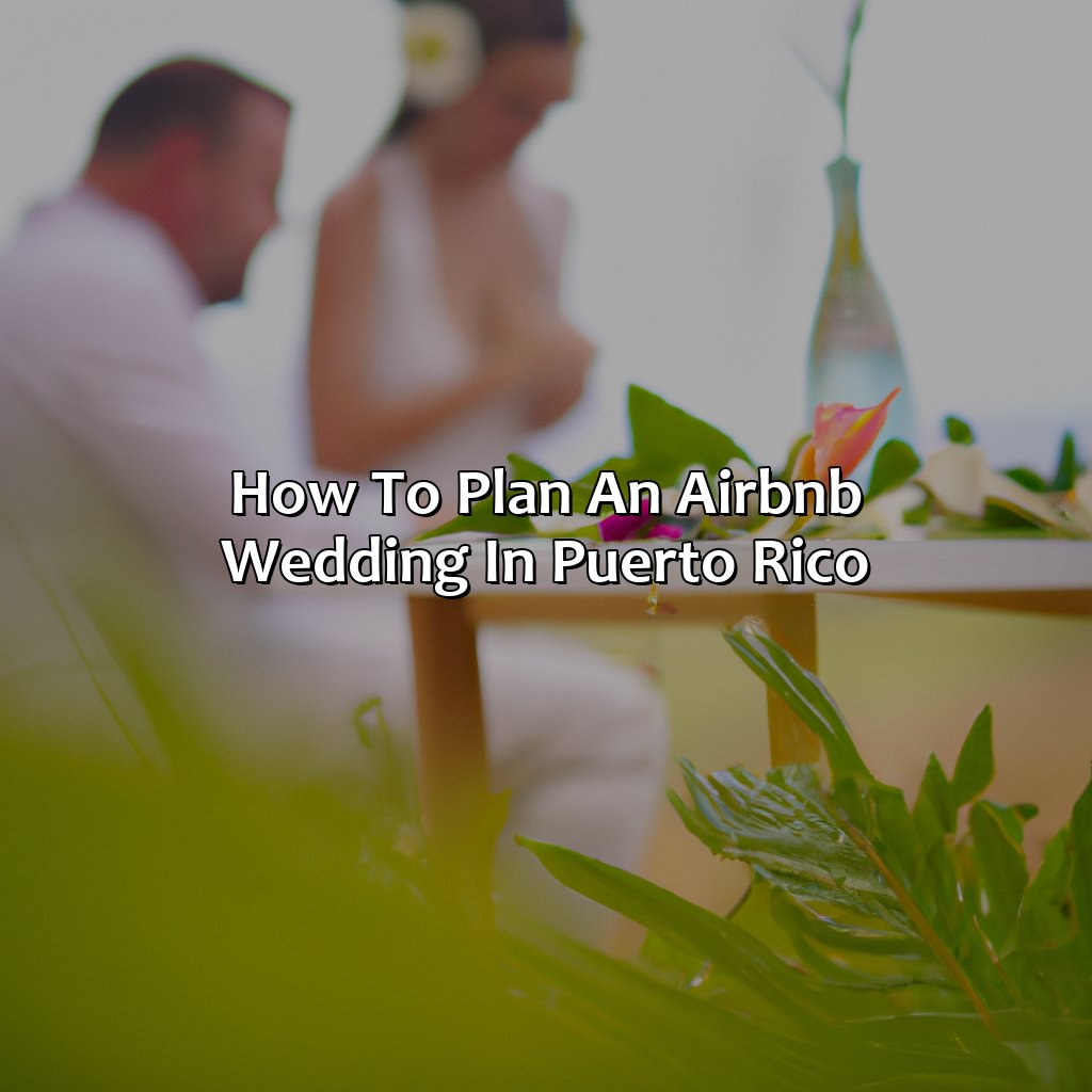 How to plan an Airbnb wedding in Puerto Rico-airbnb wedding puerto rico, 