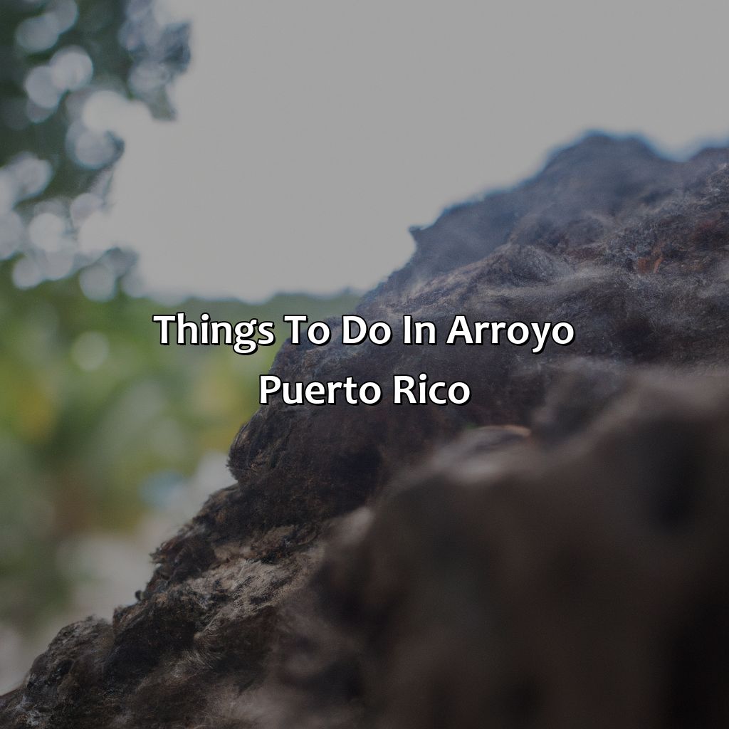 Things to do in Arroyo, Puerto Rico-arroyo puerto rico hotels, 