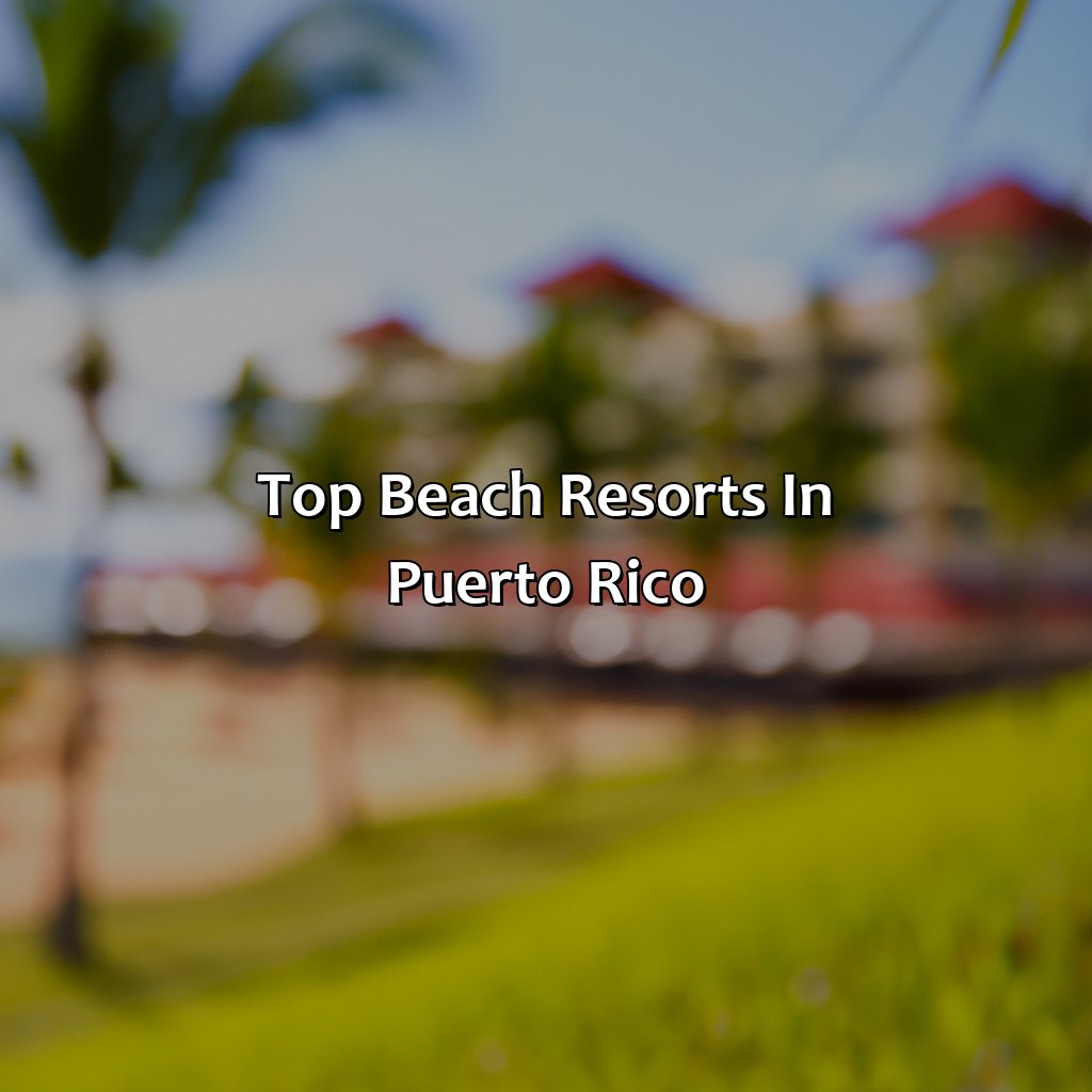 Top Beach Resorts in Puerto Rico-beach resorts puerto rico, 