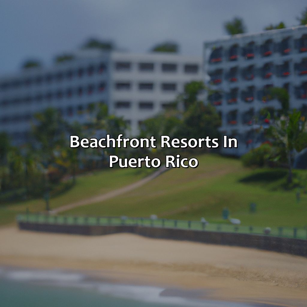Beachfront Resorts In Puerto Rico