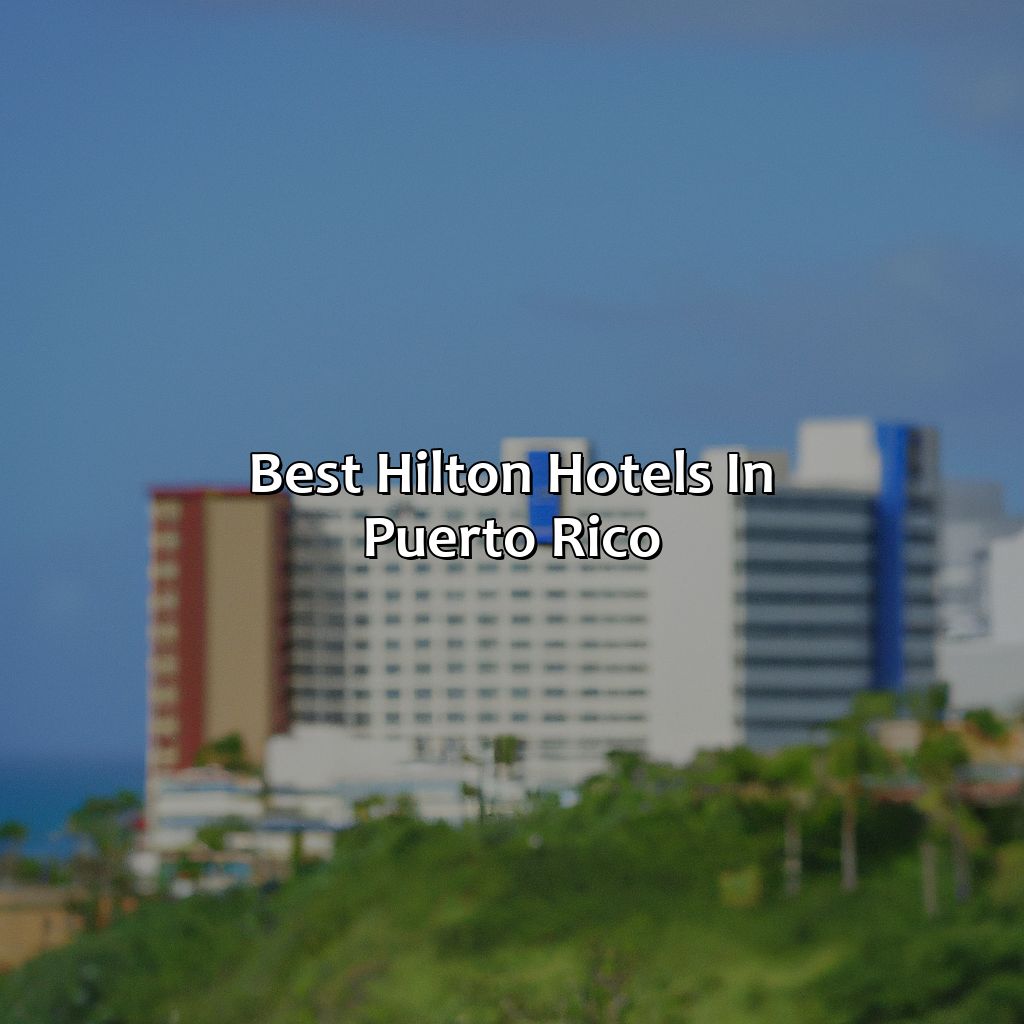 Best Hilton Hotels in Puerto Rico-best hilton hotels in puerto rico, 