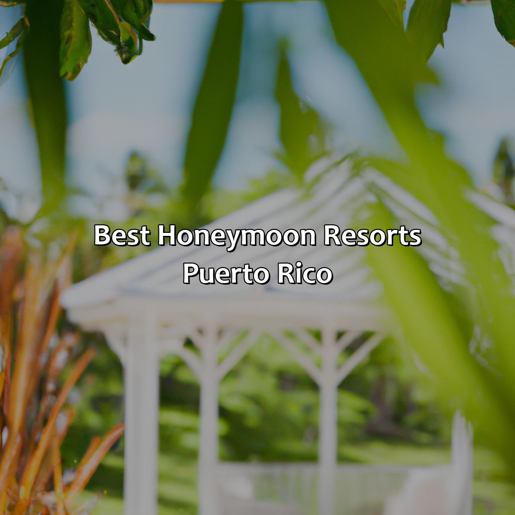 Best Honeymoon Resorts Puerto Rico