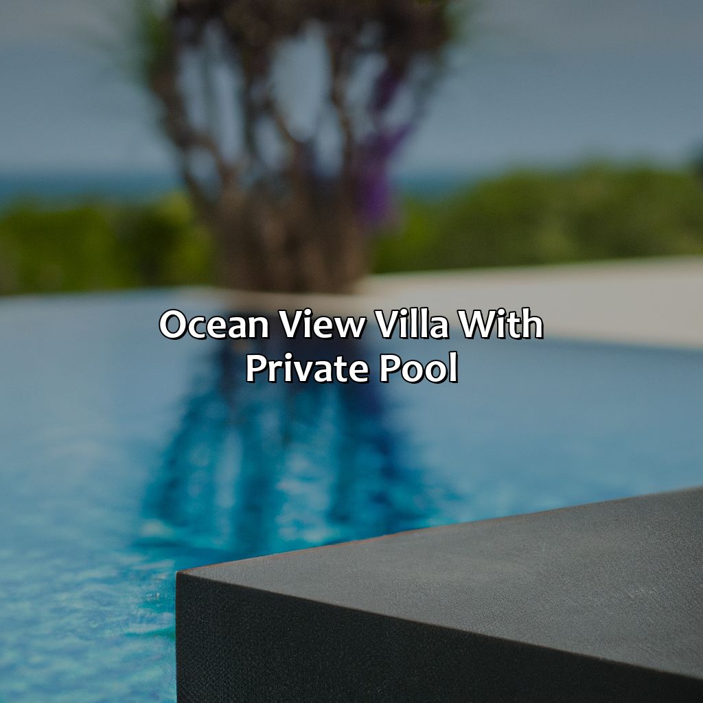 Ocean View Villa with Private Pool-best puerto rico airbnb, 