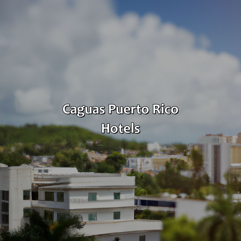 Caguas Puerto Rico Hotels