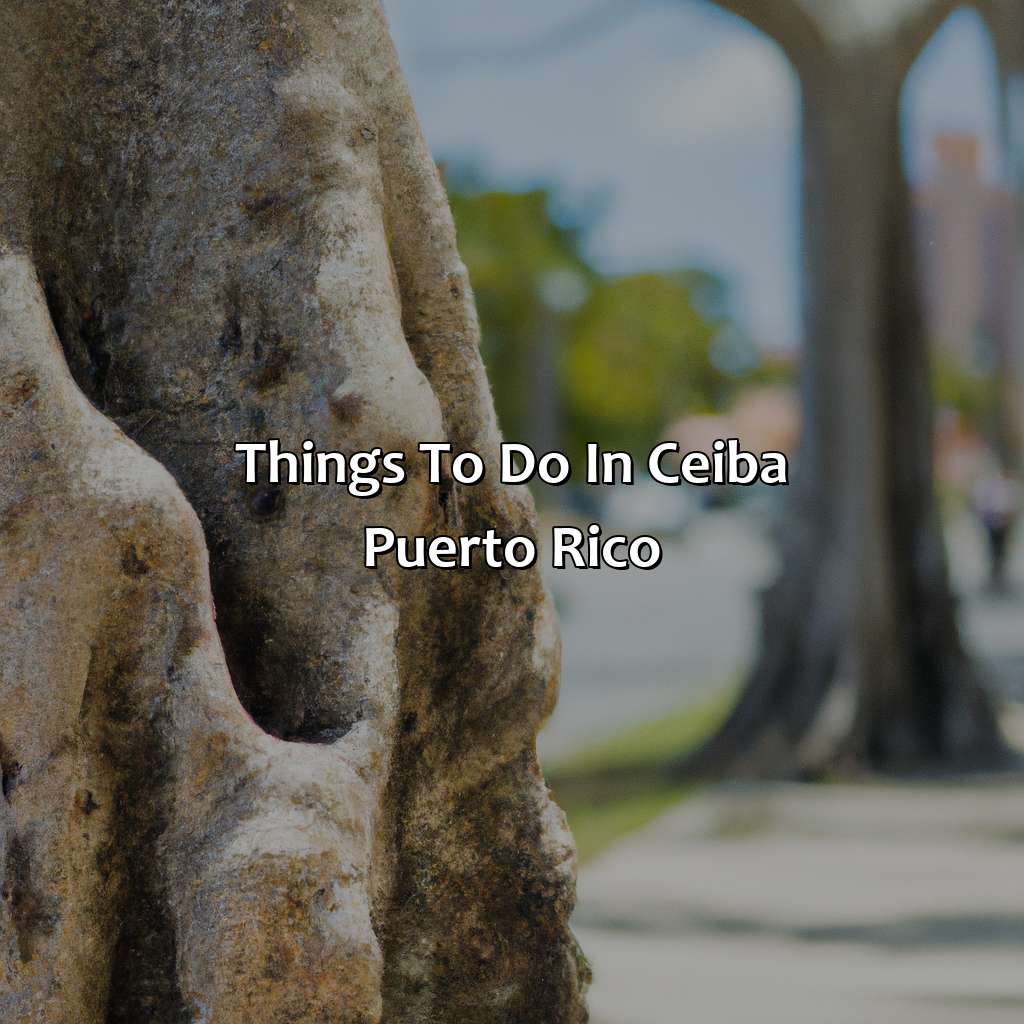 Things to Do in Ceiba Puerto Rico-ceiba puerto rico hotels, 