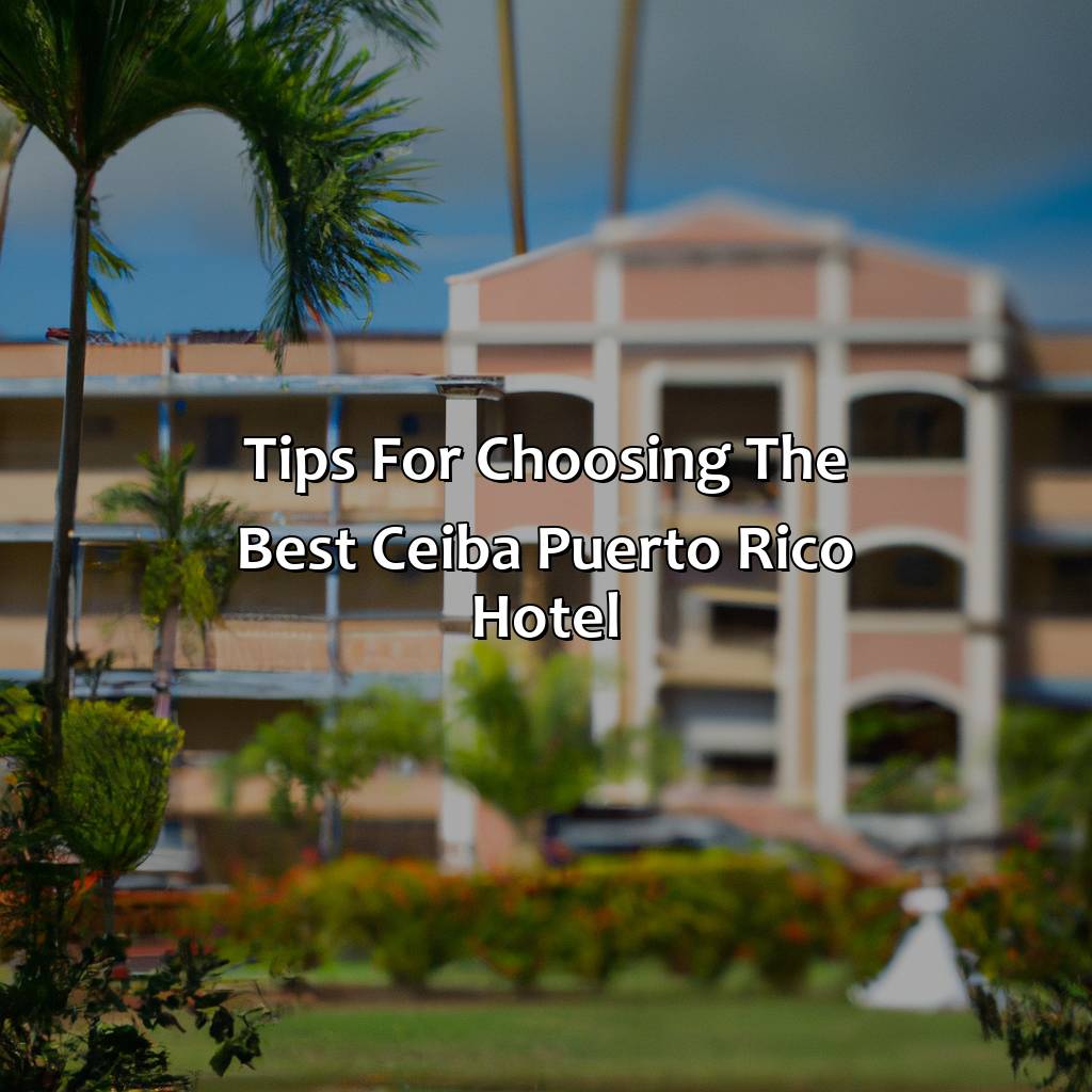 Tips for Choosing the Best Ceiba Puerto Rico Hotel-ceiba puerto rico hotels, 