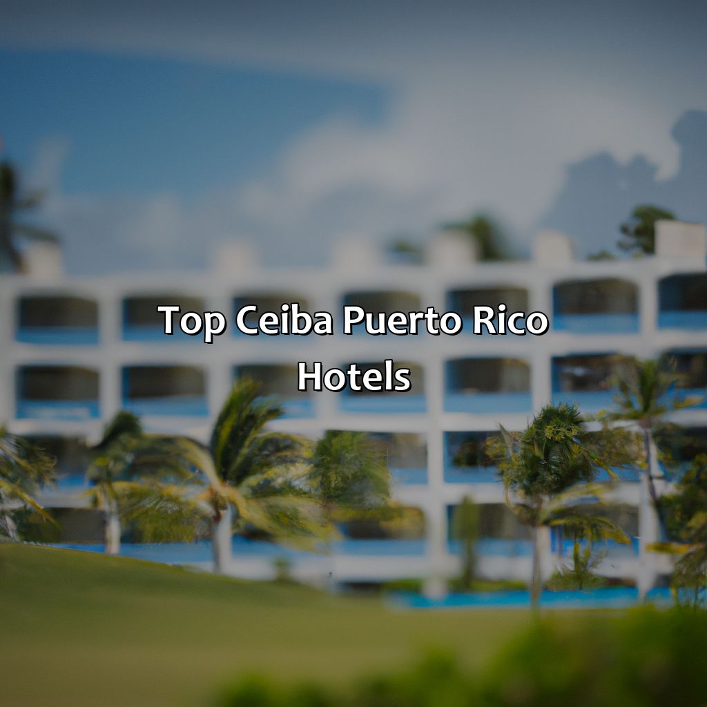 Top Ceiba Puerto Rico Hotels-ceiba puerto rico hotels, 