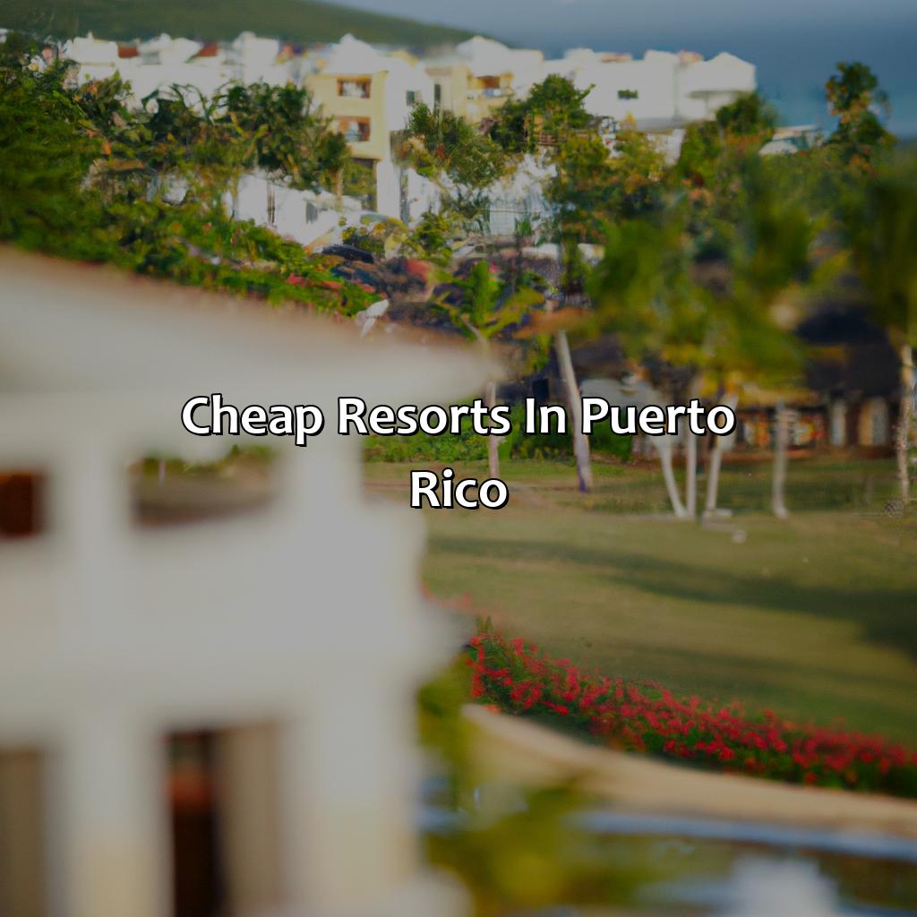 Cheap Resorts in Puerto Rico-cheap resorts in puerto rico, 