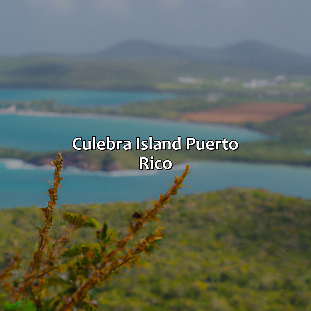 Culebra Island, Puerto Rico-club+seabourne+hotel+culebra+island+puerto+rico, 
