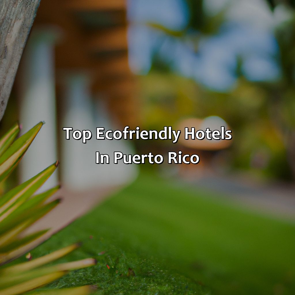 Top Eco-Friendly Hotels in Puerto Rico-cool hotels in puerto rico, 