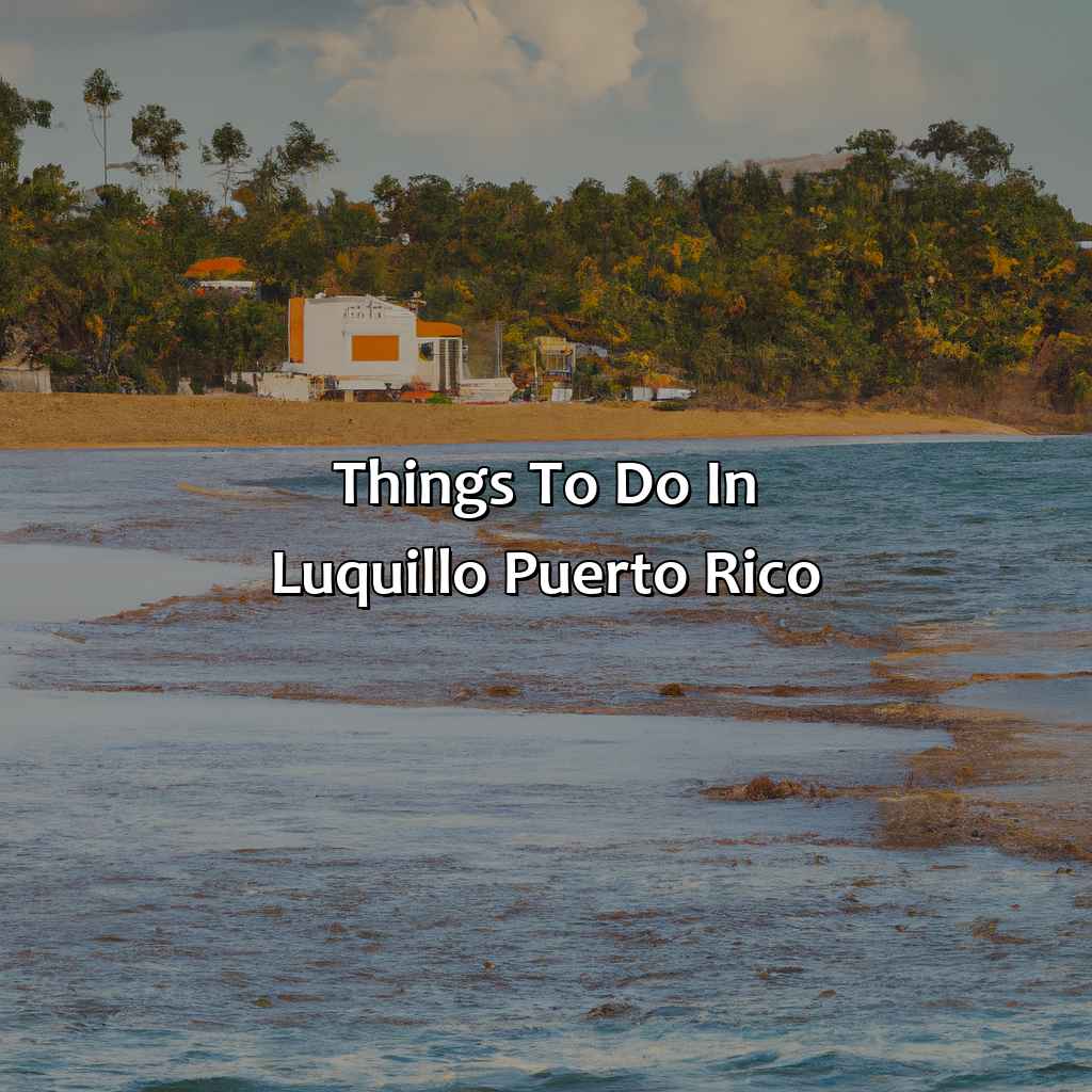 Things to do in Luquillo, Puerto Rico-daddy yankee airbnb luquillo puerto rico, 