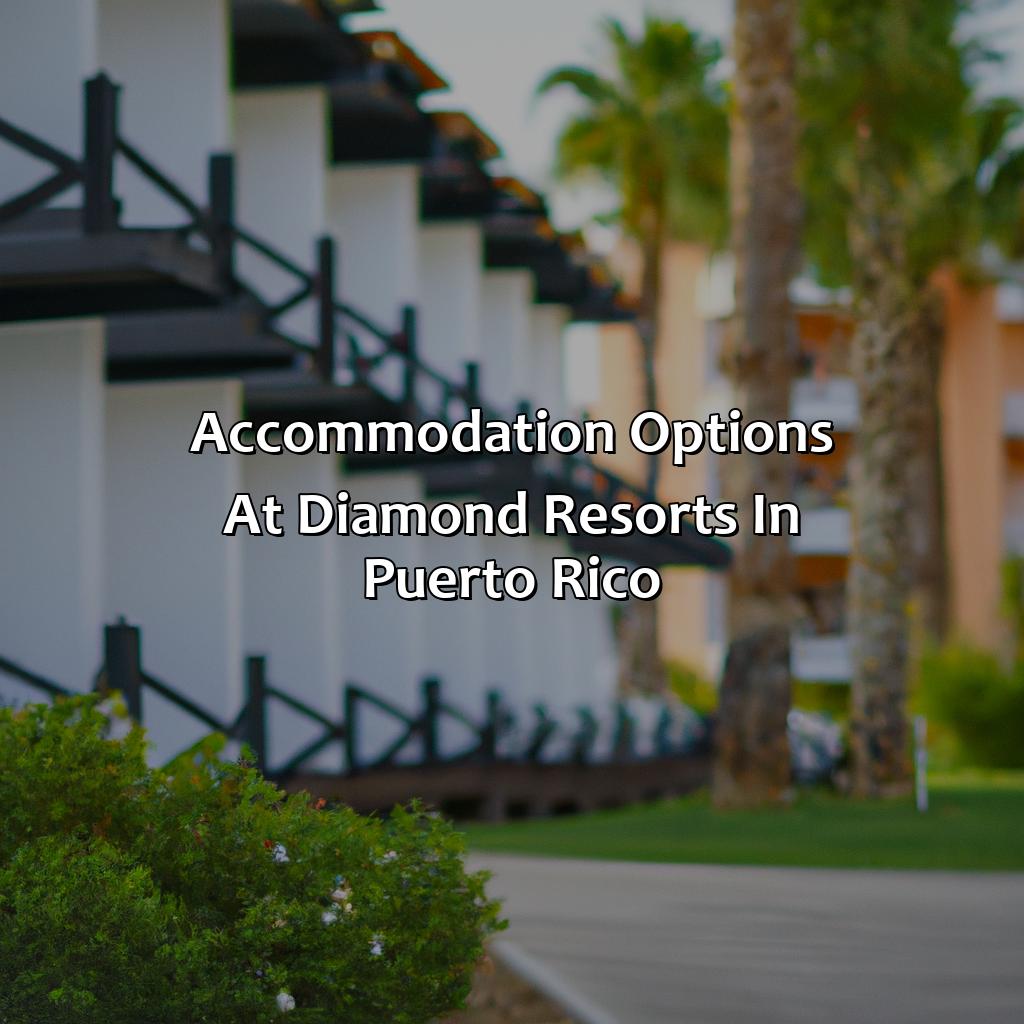 Accommodation Options at Diamond Resorts in Puerto Rico-diamond resorts in puerto rico, 