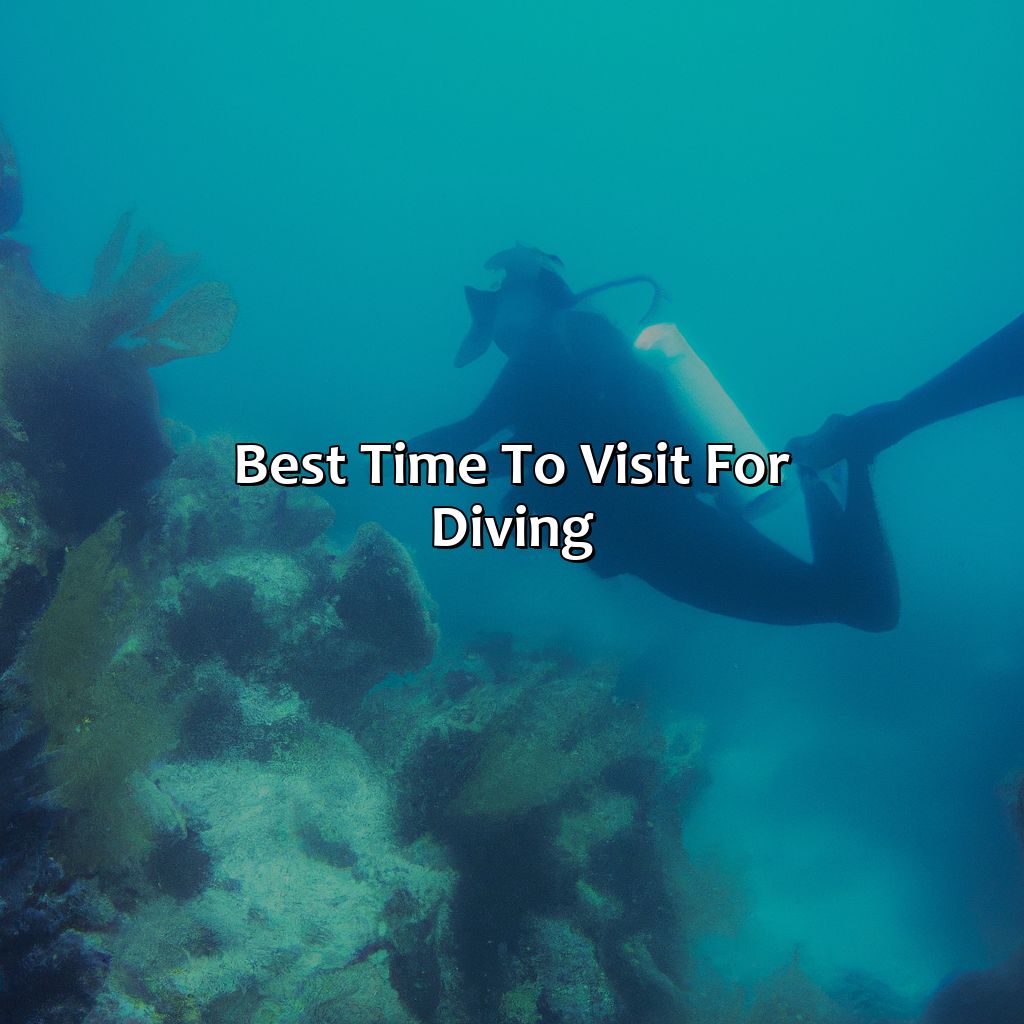 Best Time to Visit for Diving-dive resorts puerto rico, 