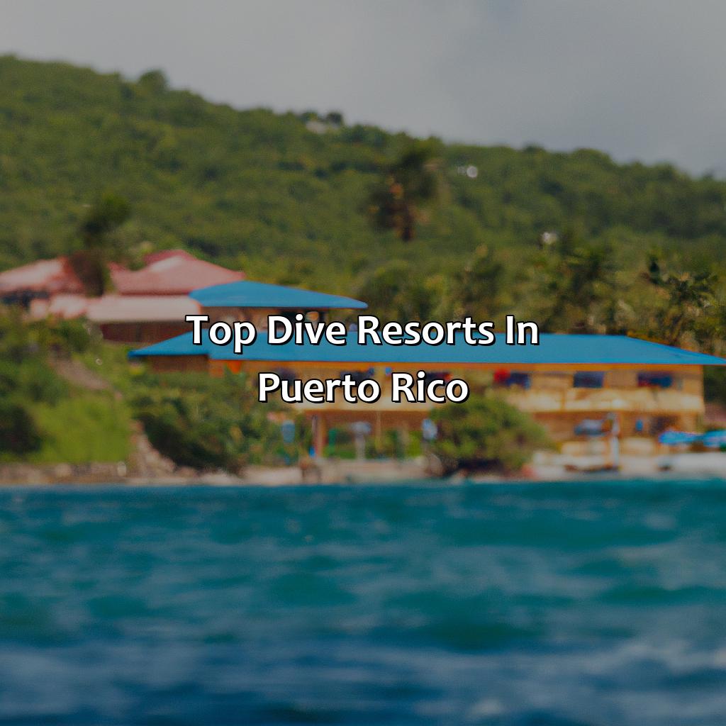 Top Dive Resorts in Puerto Rico-dive resorts puerto rico, 