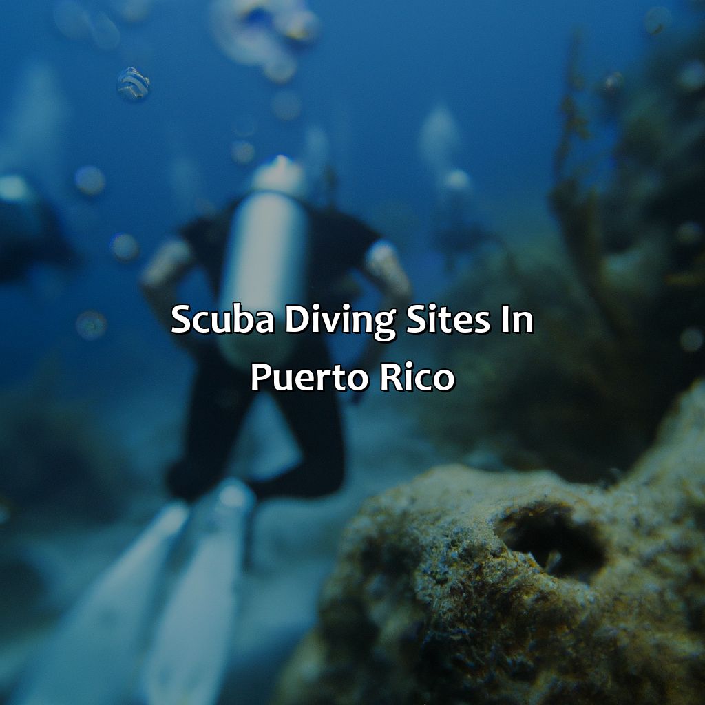 Scuba Diving Sites in Puerto Rico-dive resorts puerto rico, 