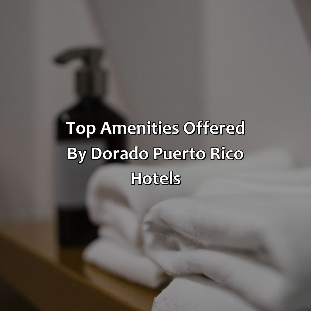 Top Amenities Offered by Dorado Puerto Rico Hotels-dorado puerto rico hotels, 