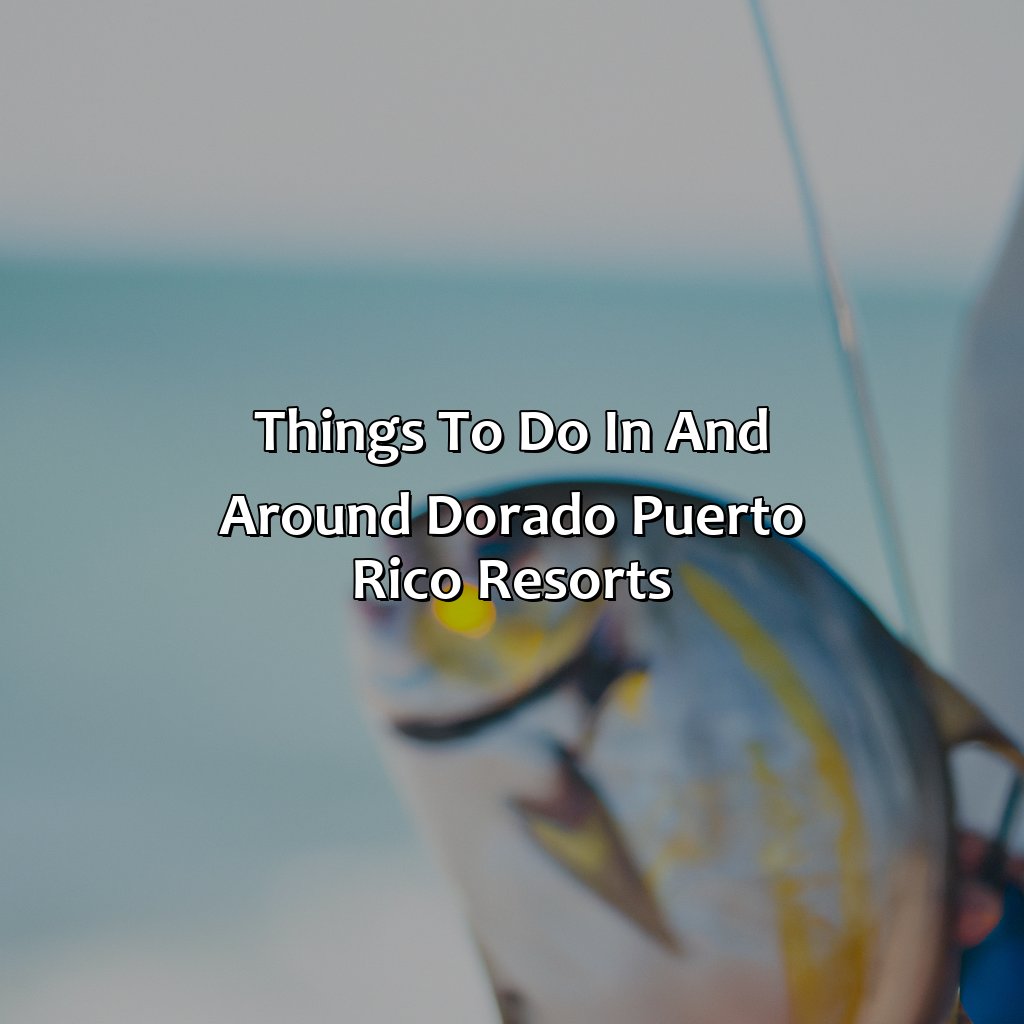 Things to do in and around Dorado Puerto Rico Resorts-dorado puerto rico resorts, 