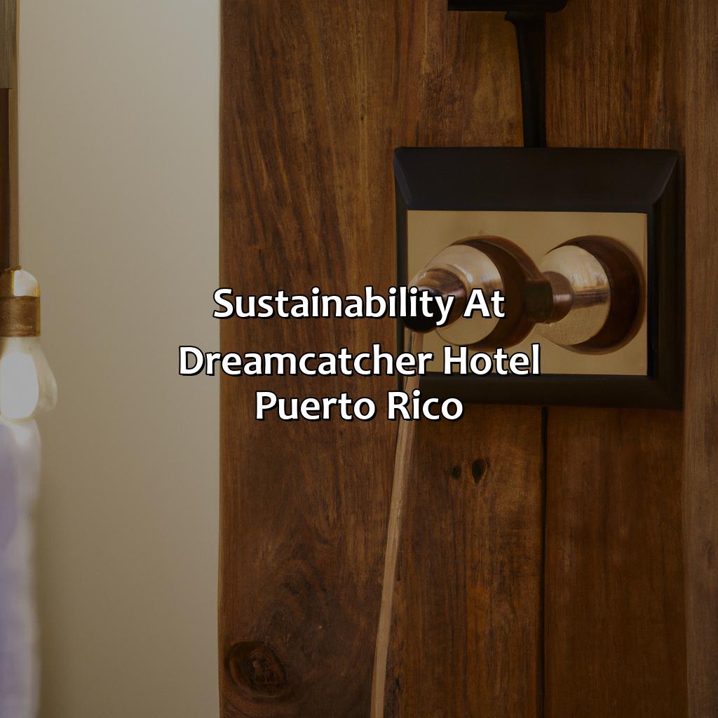 Sustainability at Dreamcatcher Hotel Puerto Rico-dreamcatcher hotel puerto rico, 