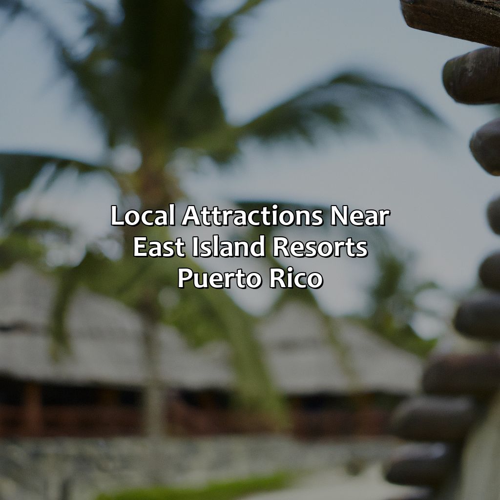 Local Attractions Near East Island Resorts Puerto Rico-east island resorts puerto rico, 