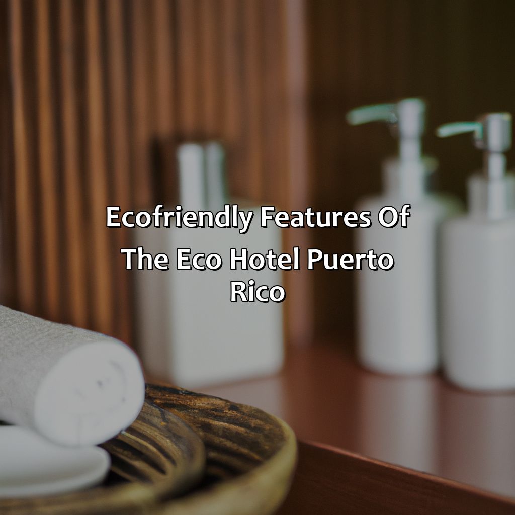 Eco-Friendly Features of the Eco Hotel Puerto Rico-eco hotel puerto rico, 