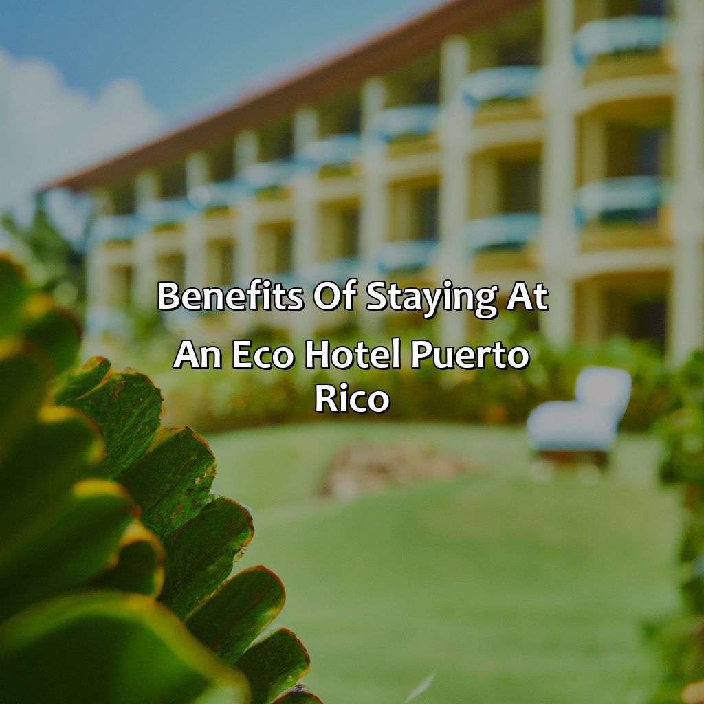 Benefits of Staying at an Eco Hotel Puerto Rico-eco hotel puerto rico, 
