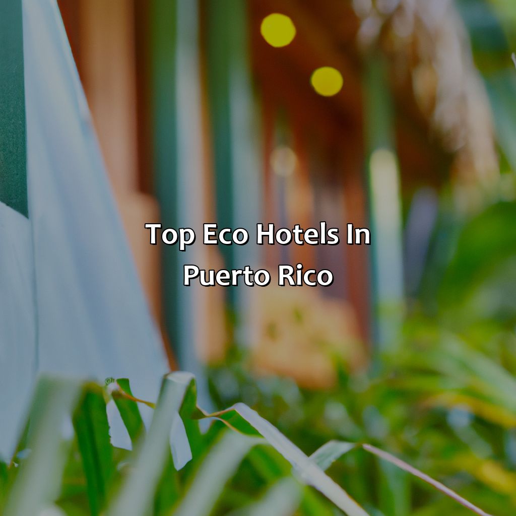 Top eco hotels in Puerto Rico-eco hotels puerto rico, 
