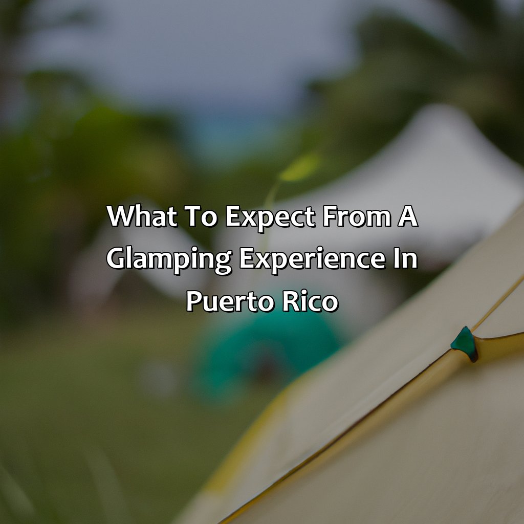 What to Expect from a Glamping Experience in Puerto Rico-glamping puerto rico airbnb, 