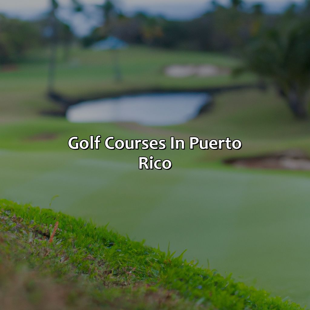 Golf Courses in Puerto Rico-golf resorts puerto rico, 