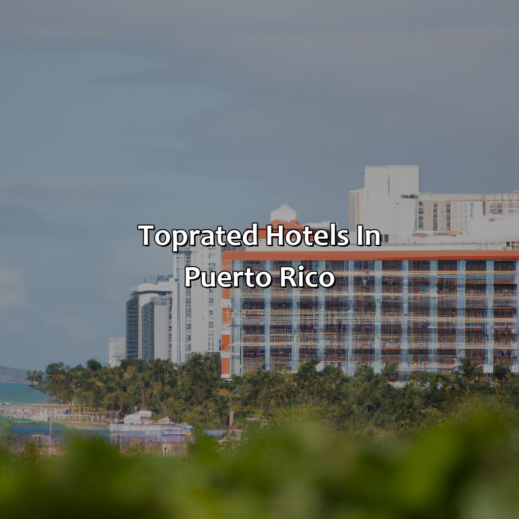 Top-Rated Hotels in Puerto Rico-good hotels in puerto rico, 