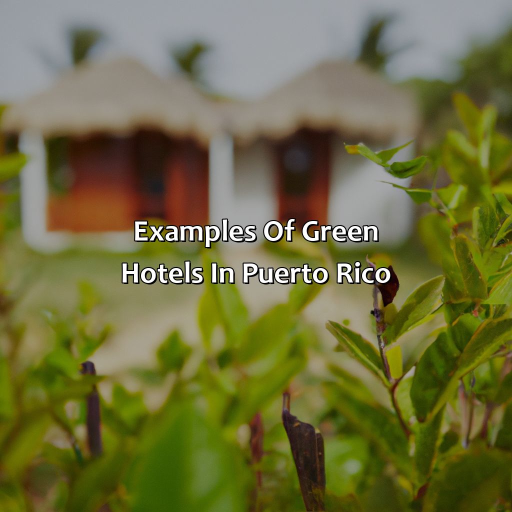 Examples of Green Hotels in Puerto Rico-green hotels in puerto rico, 