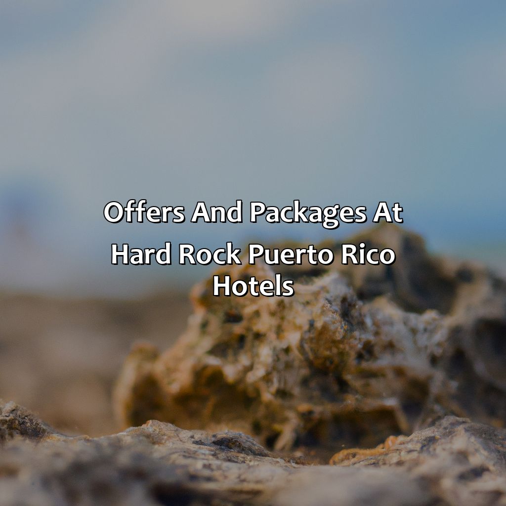 Offers and Packages at Hard Rock Puerto Rico Hotels-hard rock puerto rico hotels, 