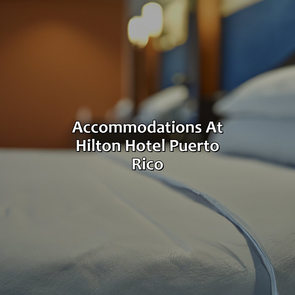 Accommodations at Hilton Hotel Puerto Rico-hilton hotel puerto rico, 