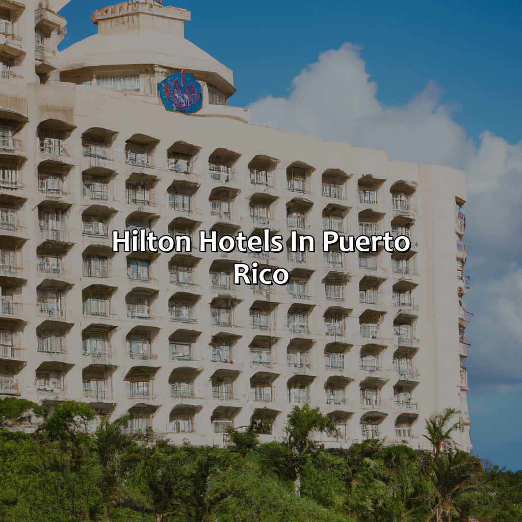 Hilton Hotels in Puerto Rico-hilton hotels in puerto rico, 