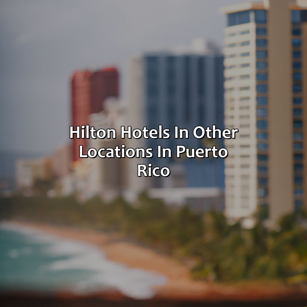 Hilton Hotels in Other Locations in Puerto Rico-hilton hotels in puerto rico, 