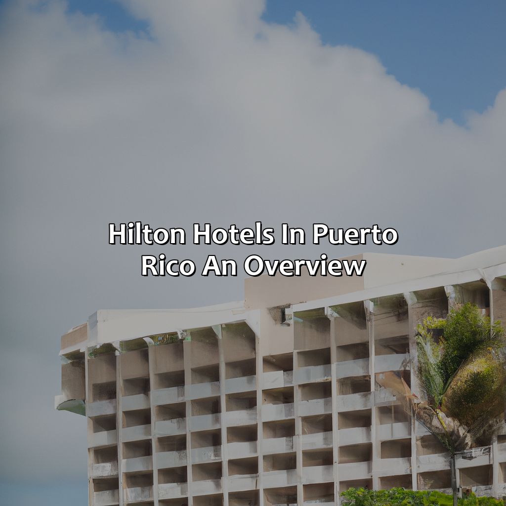 Hilton Hotels in Puerto Rico: An Overview-hilton hotels in puerto rico, 