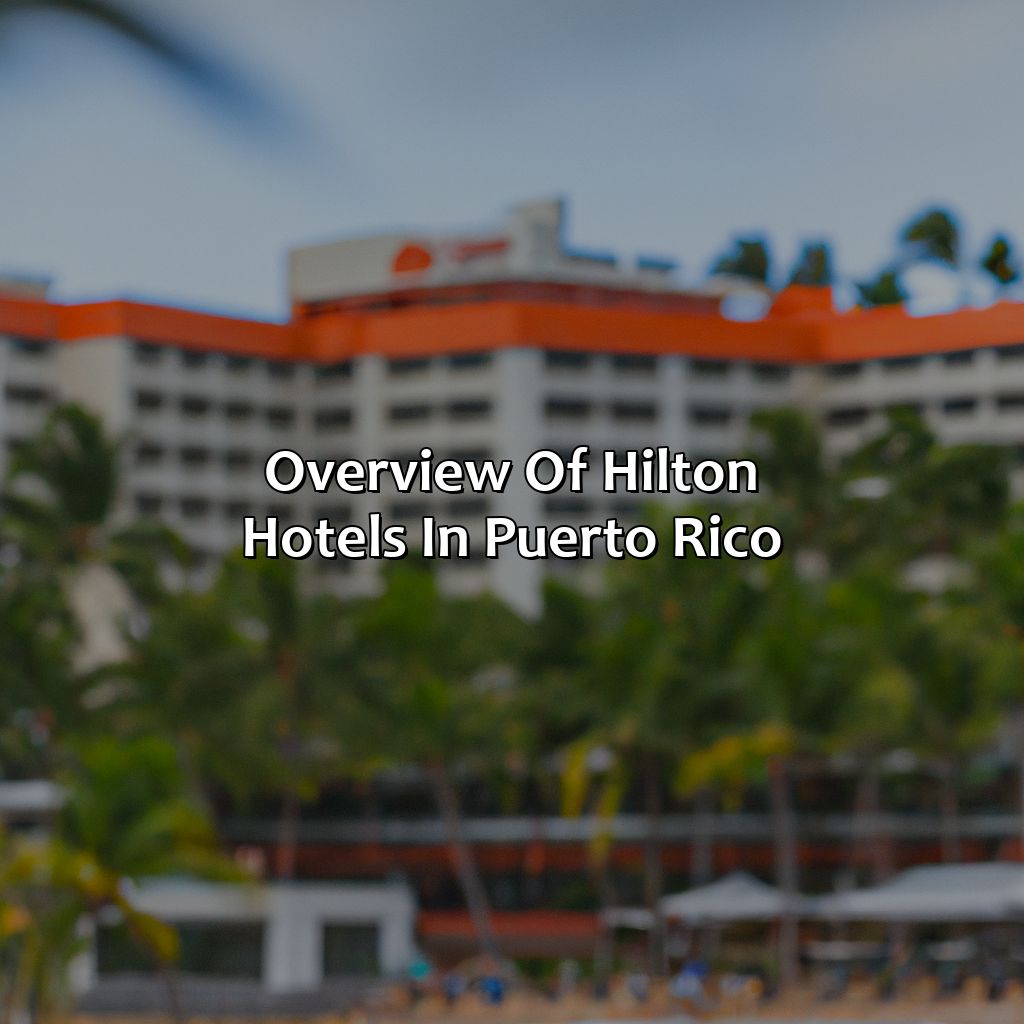 Overview of Hilton Hotels in Puerto Rico-hilton hotels puerto rico, 