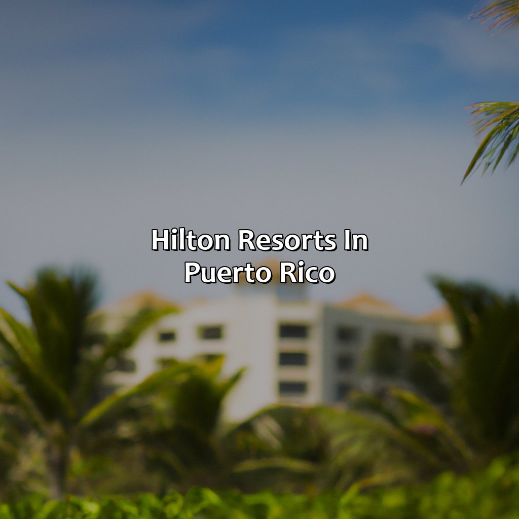 Hilton Resorts In Puerto Rico