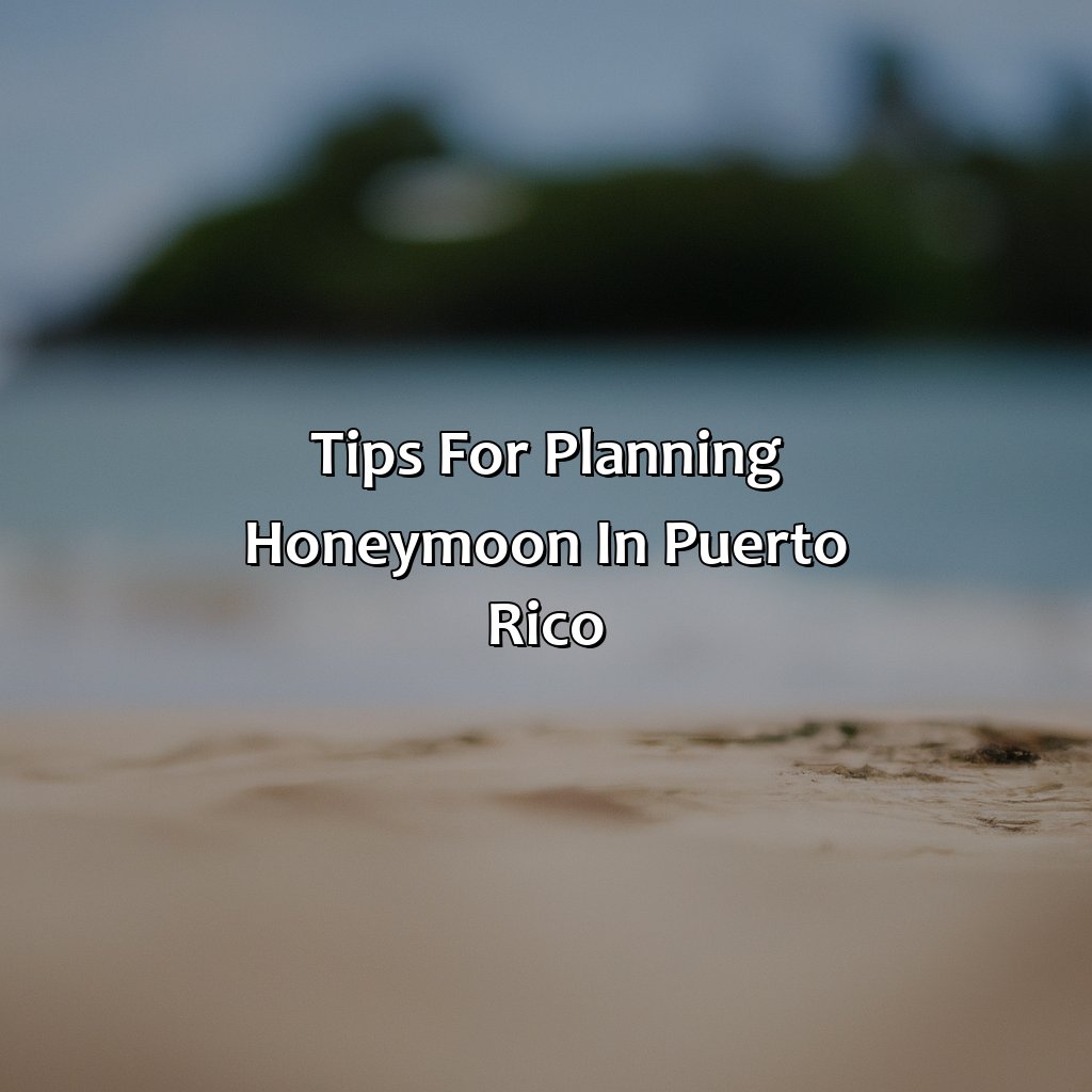 Tips for Planning Honeymoon in Puerto Rico-honeymoon airbnb puerto rico, 