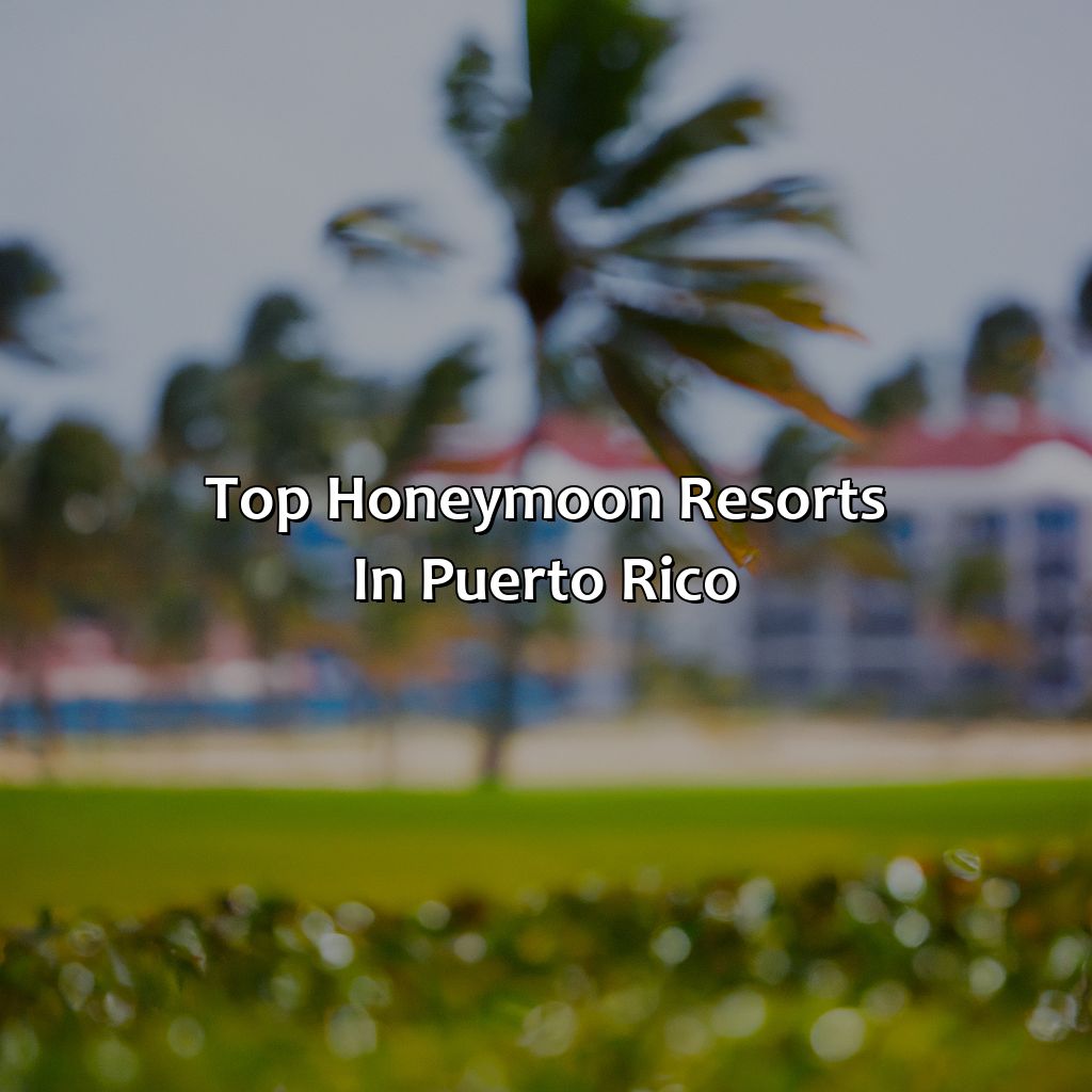 Top Honeymoon Resorts in Puerto Rico-honeymoon resorts in puerto rico, 