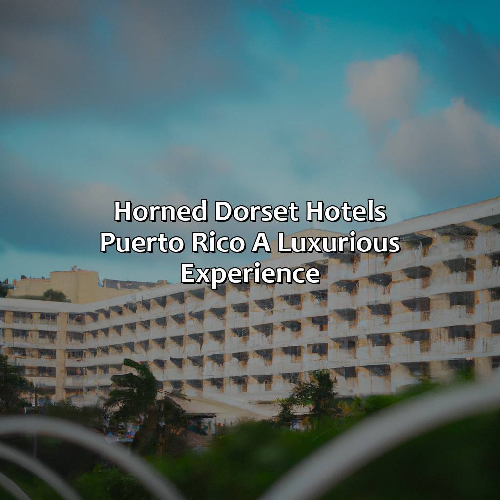 Horned Dorset Hotels Puerto Rico: A Luxurious Experience-horned dorset hotels puerto rico, 