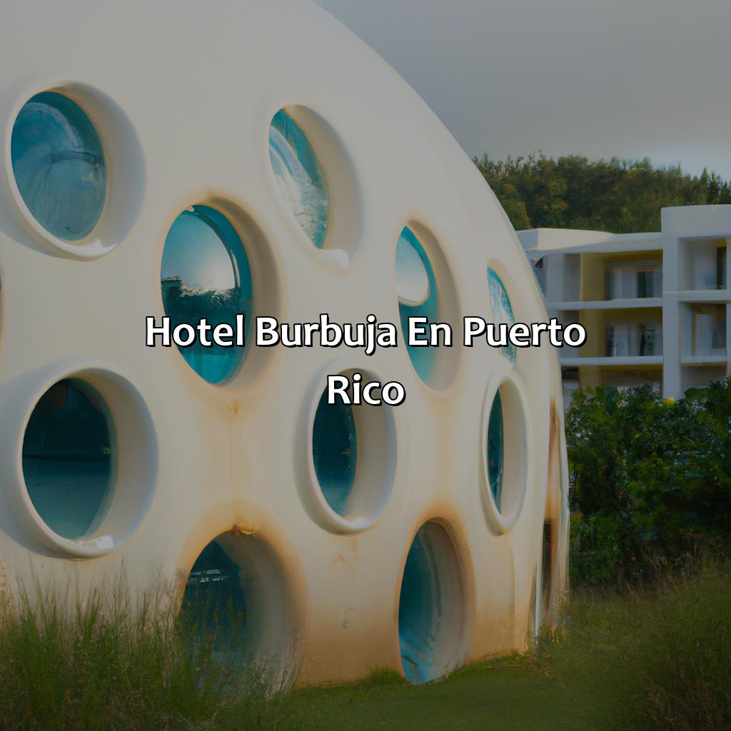 Hotel Burbuja En Puerto Rico