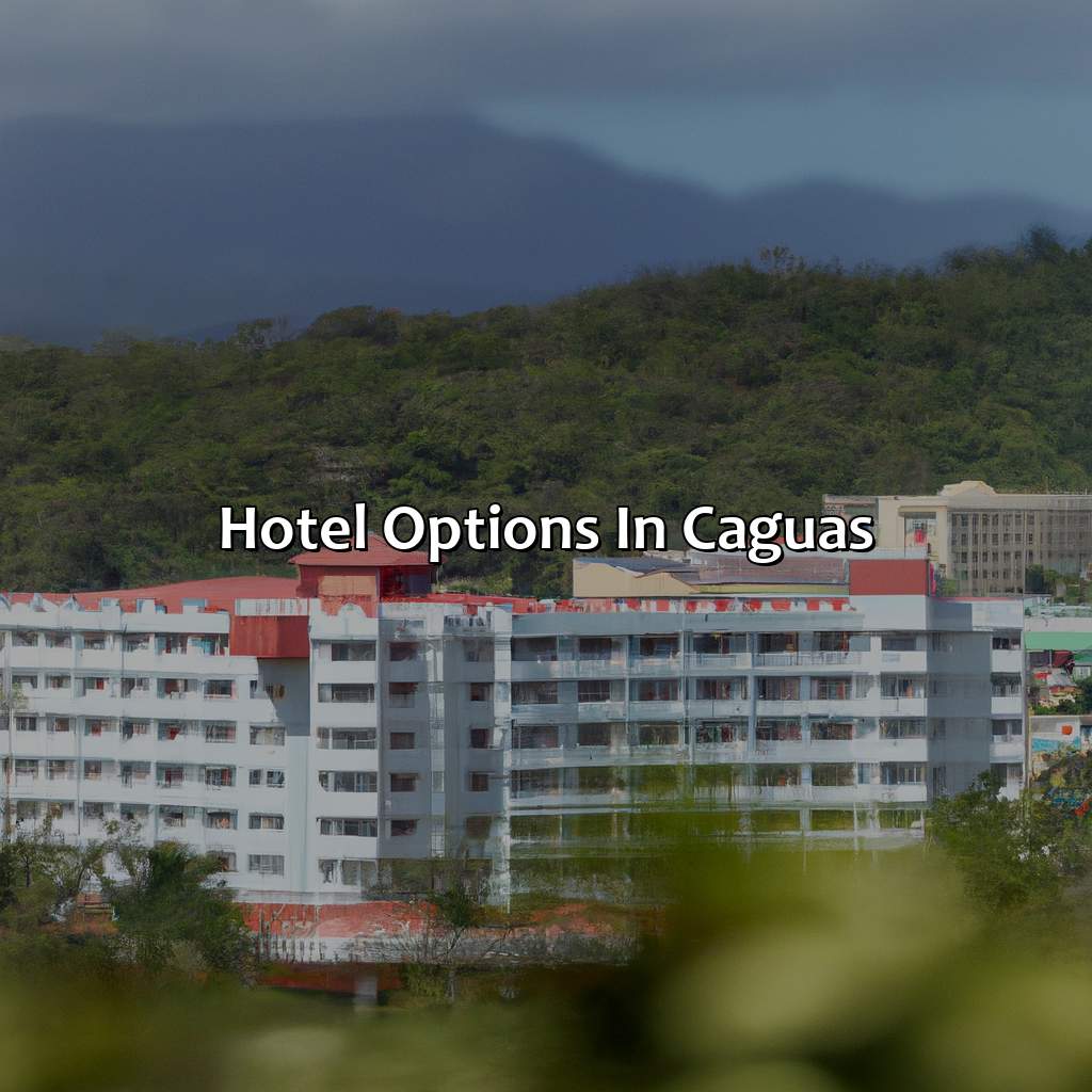 Hotel Options in Caguas-hotel caguas puerto rico, 