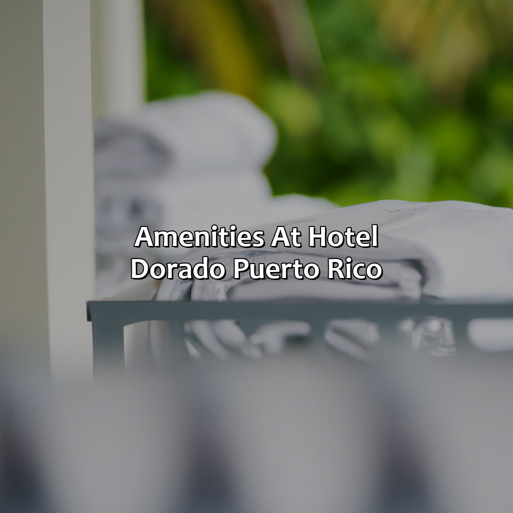 Amenities at Hotel Dorado Puerto Rico-hotel dorado puerto rico, 