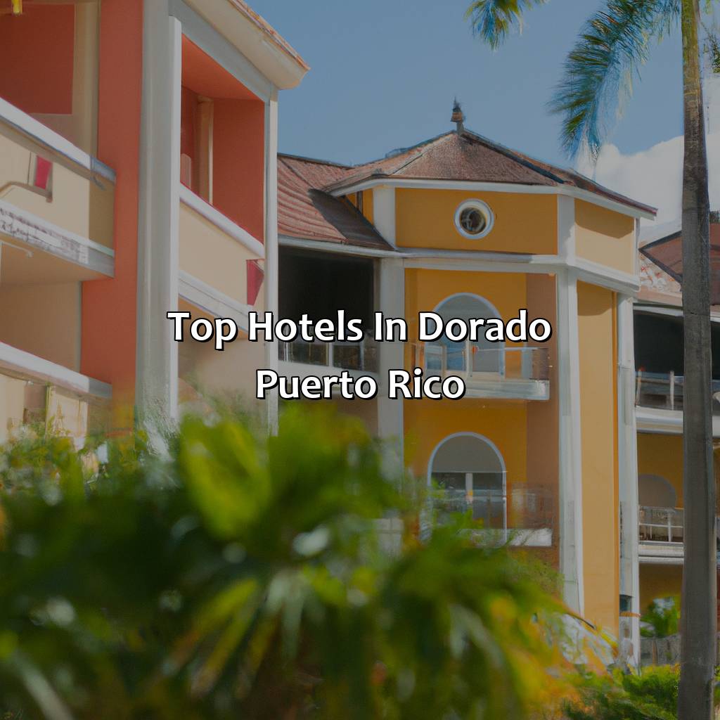 Top hotels in Dorado Puerto Rico-hotel en dorado puerto rico, 