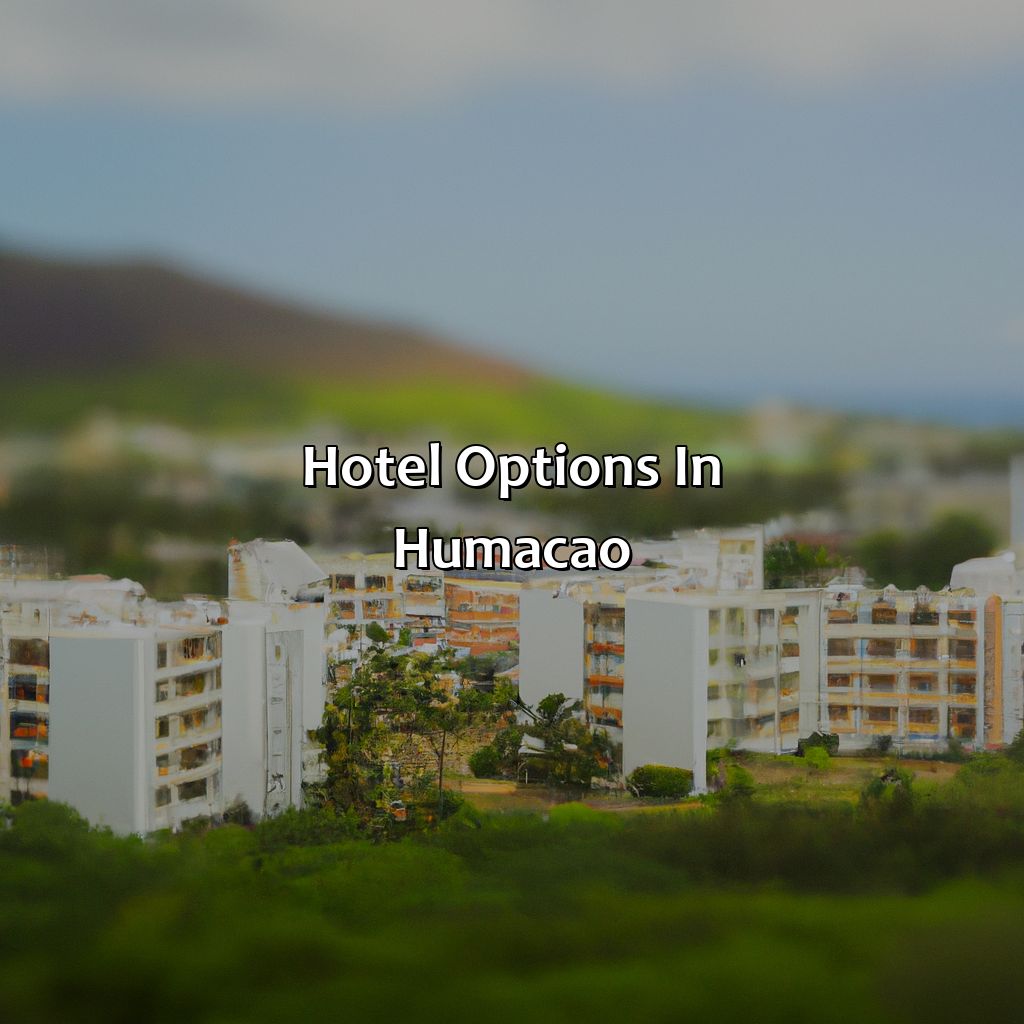Hotel options in Humacao-hotel humacao puerto rico, 